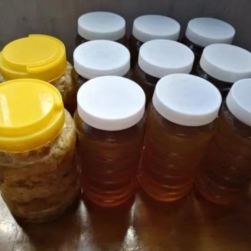 深山土蜂蜜