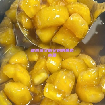 黄肉木薯