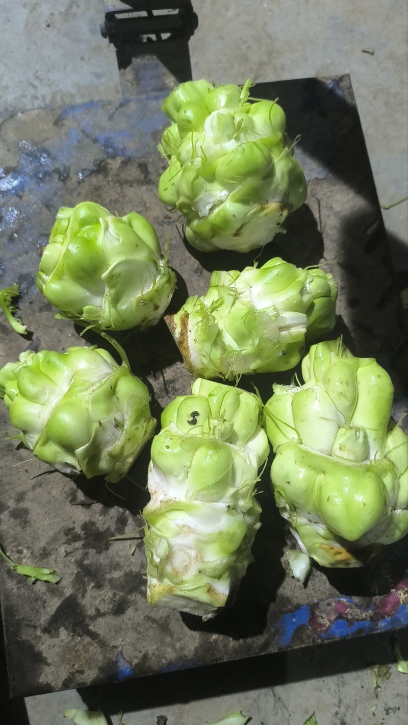 50亩，榨菜