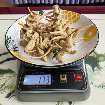 仿野生竹节参
