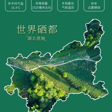 湖北恩施富硒黑花生