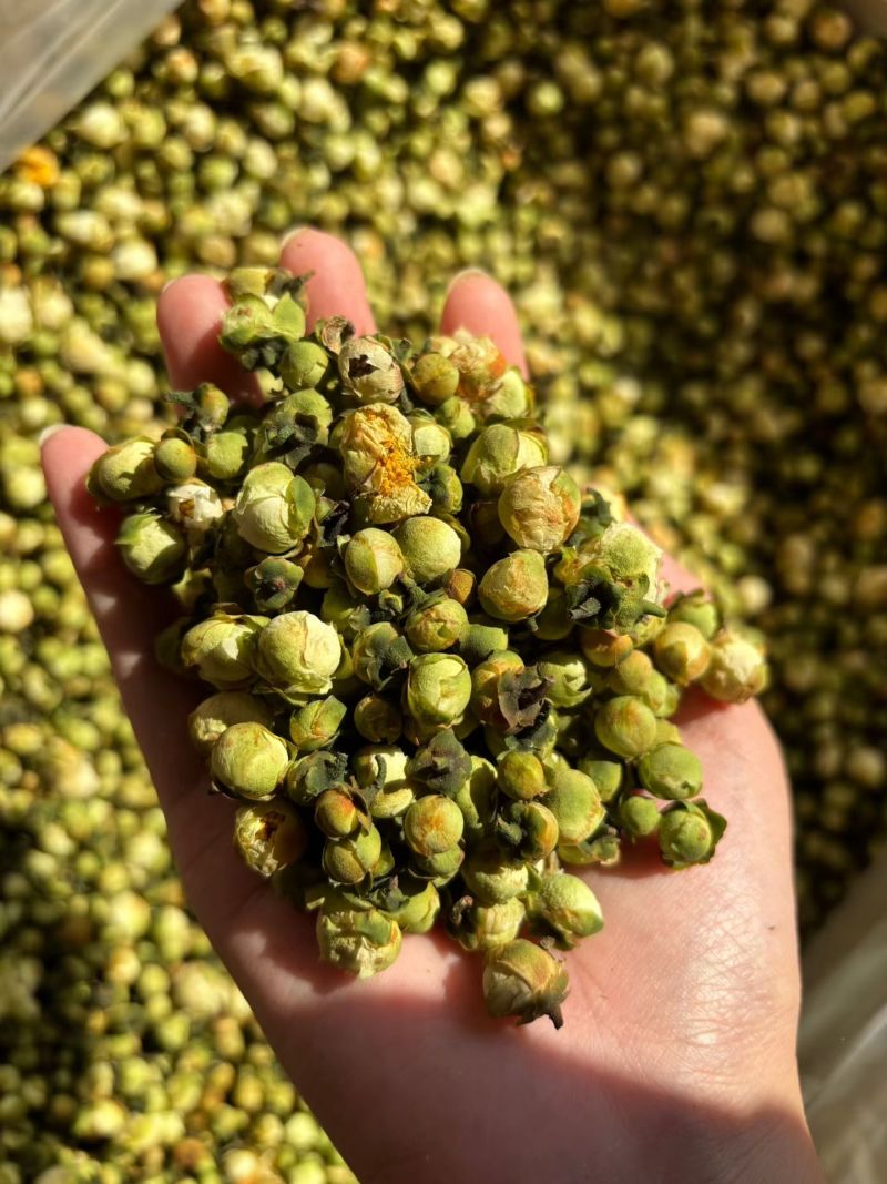山茶花茶精选干山茶花云南白山茶花泡茶泡水山茶花干花产地直