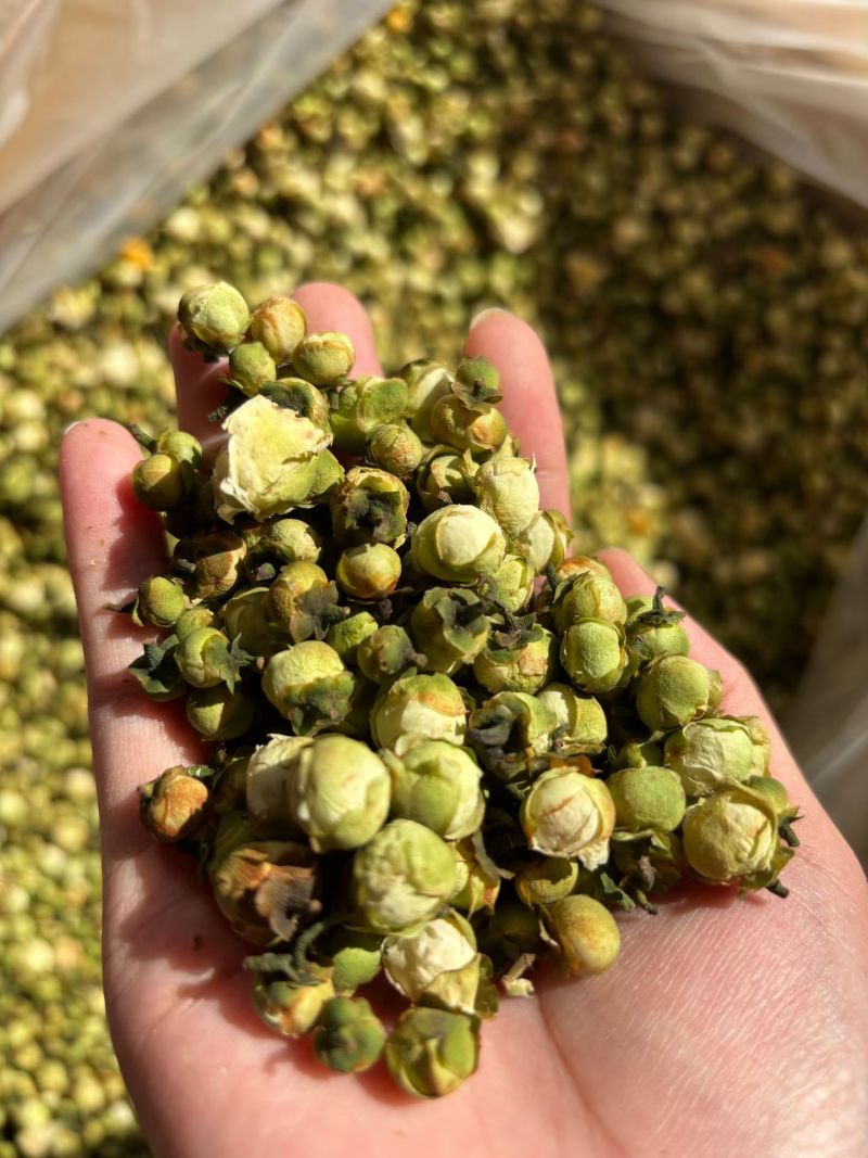 山茶花茶精选干山茶花云南白山茶花泡茶泡水山茶花干花产地直