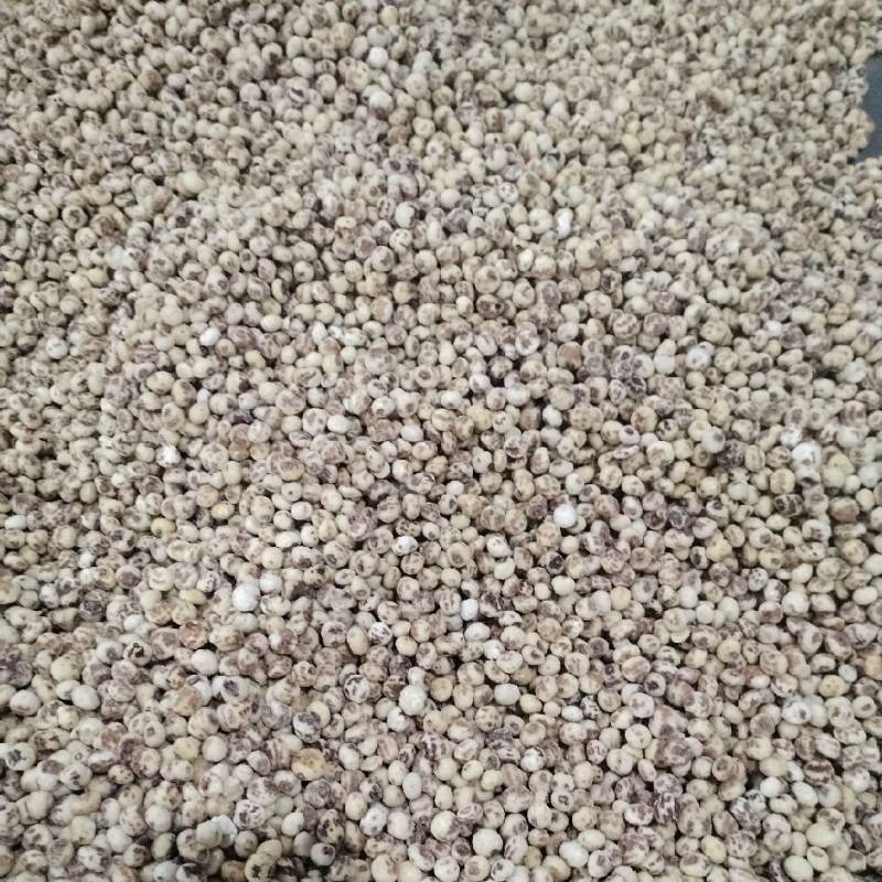 脱皮油莎豆现货一万吨