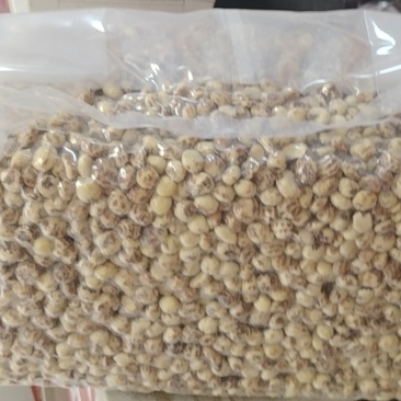 脱皮油莎豆现货一万吨