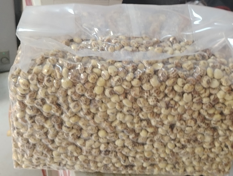 脱皮油莎豆现货一万吨