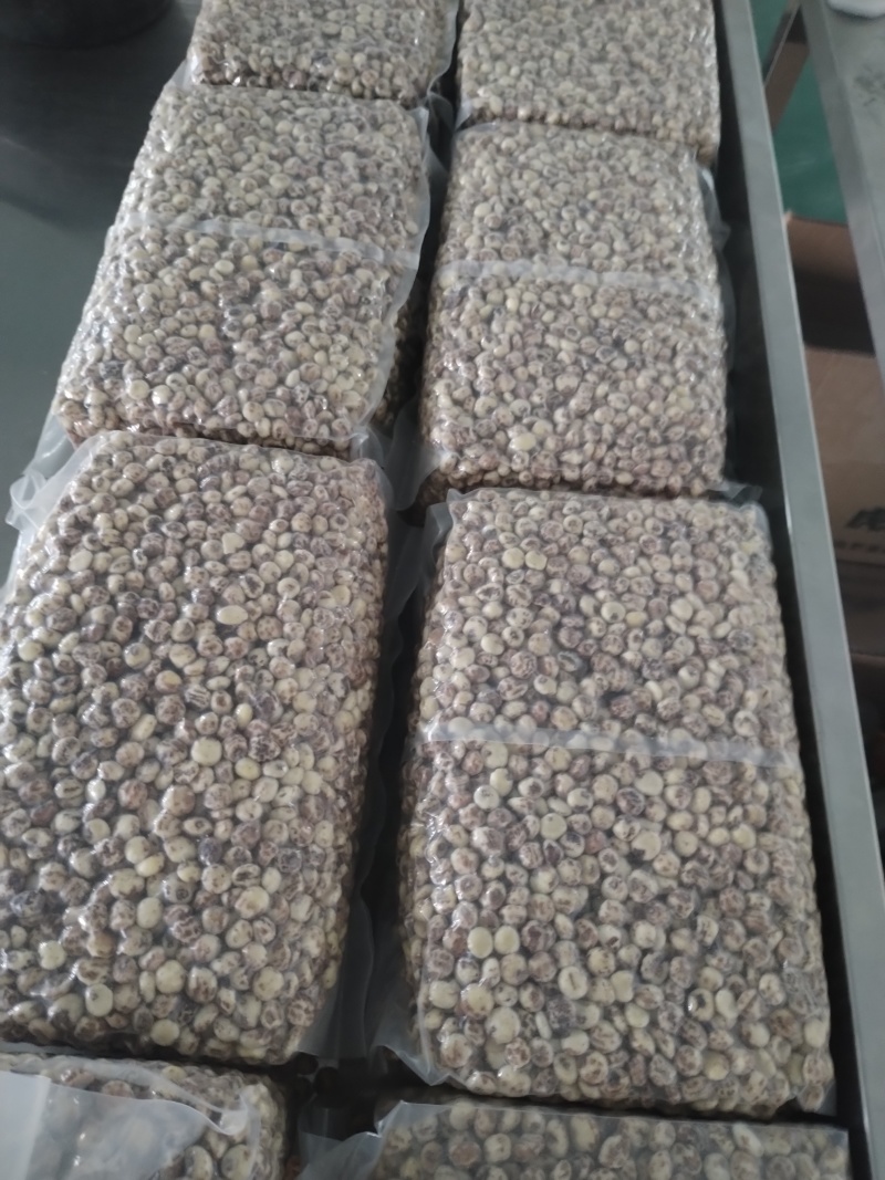 脱皮油莎豆现货一万吨