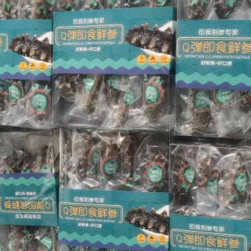 优质即食海参（10头）一袋，适合电商，团购，公司福利！