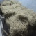 纯手工制作红薯粉条