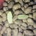 大量采购土豆圆葱各10万吨有真实会员的联系