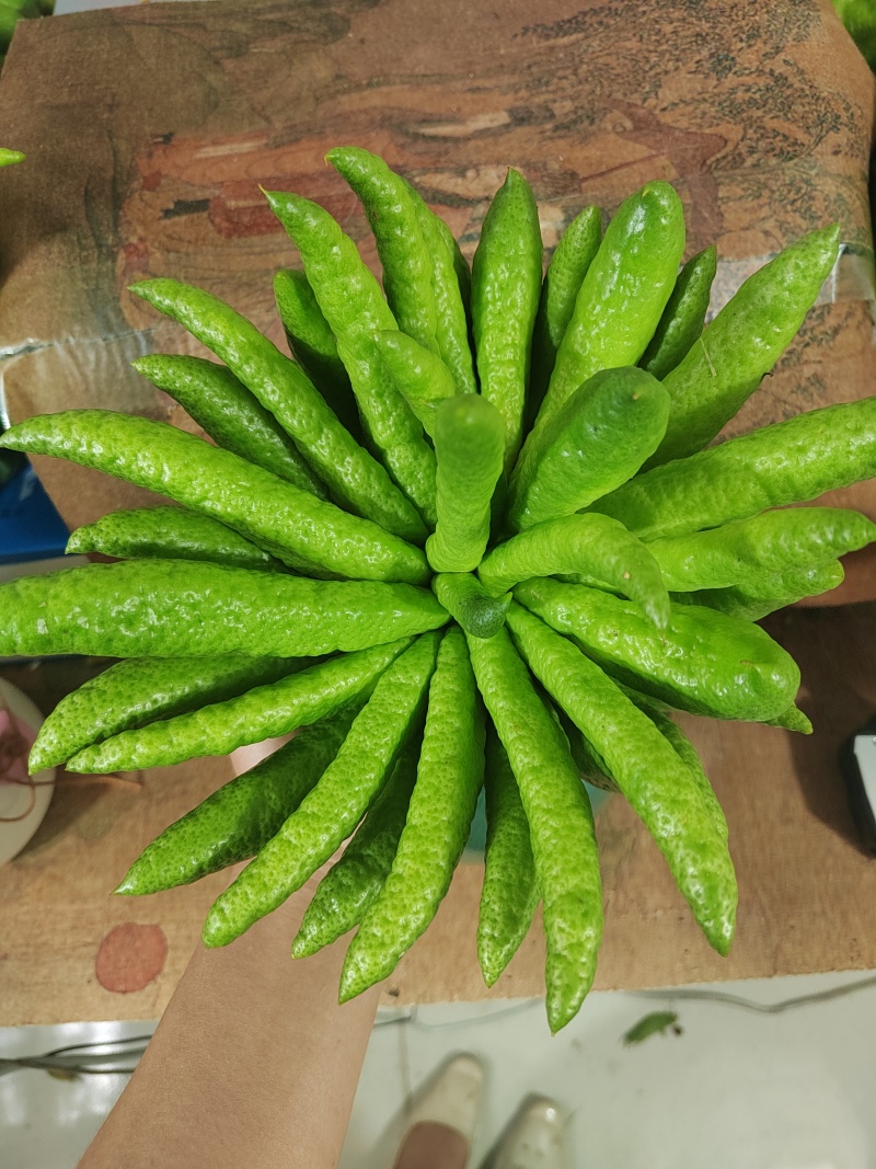 云南高山佛手柑
