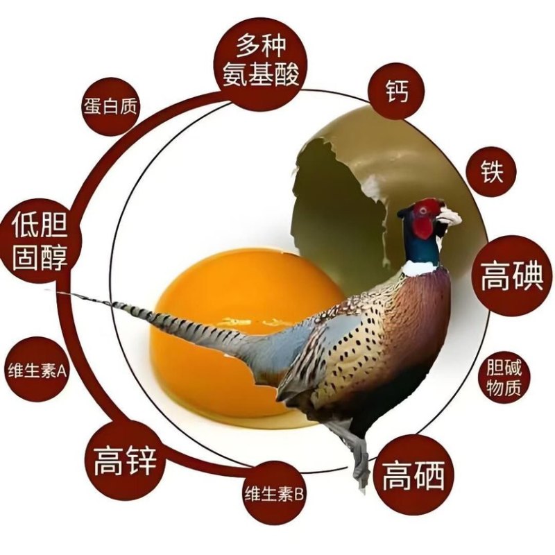 七彩野鸡蛋