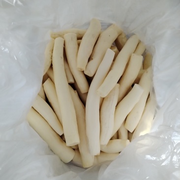广西华南9号黄肉木薯