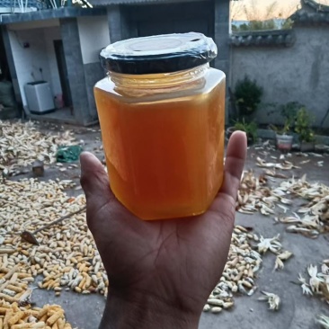 云南野生土蜂蜜