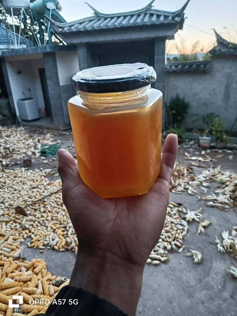 云南野生土蜂蜜