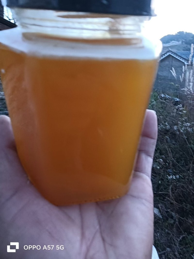 云南野生土蜂蜜