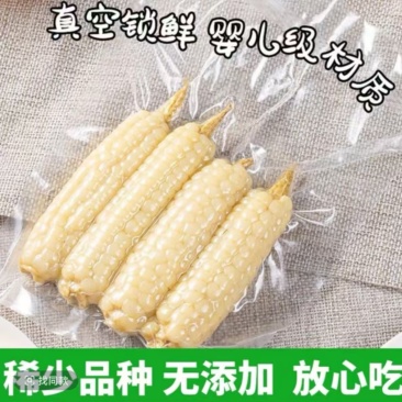 云南西双版纳拇指玉米