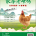 返野生营养生态鸡，可以清水炖鸡汤的散养老母鸡