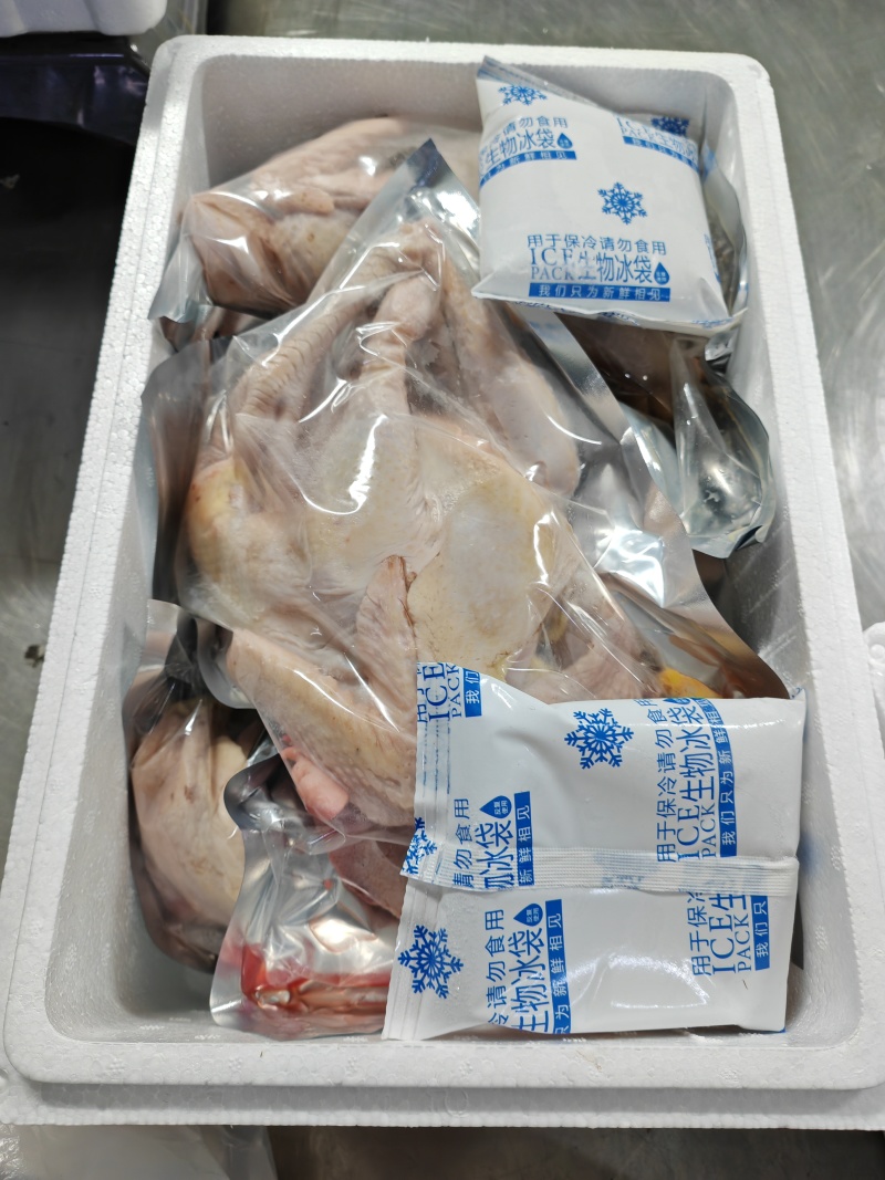 返野生营养生态鸡，可以清水炖鸡汤的散养老母鸡
