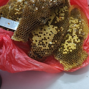 纯野山蜂蜜