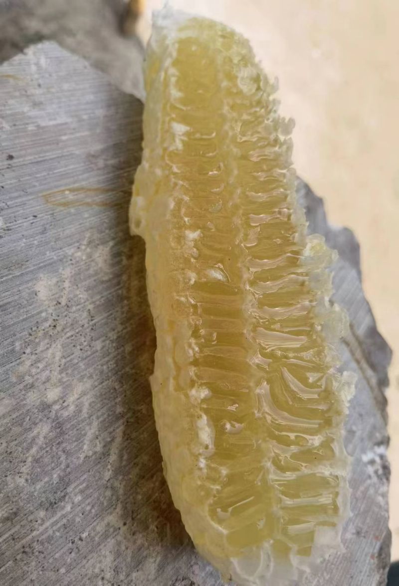 深山里的蜂蜜