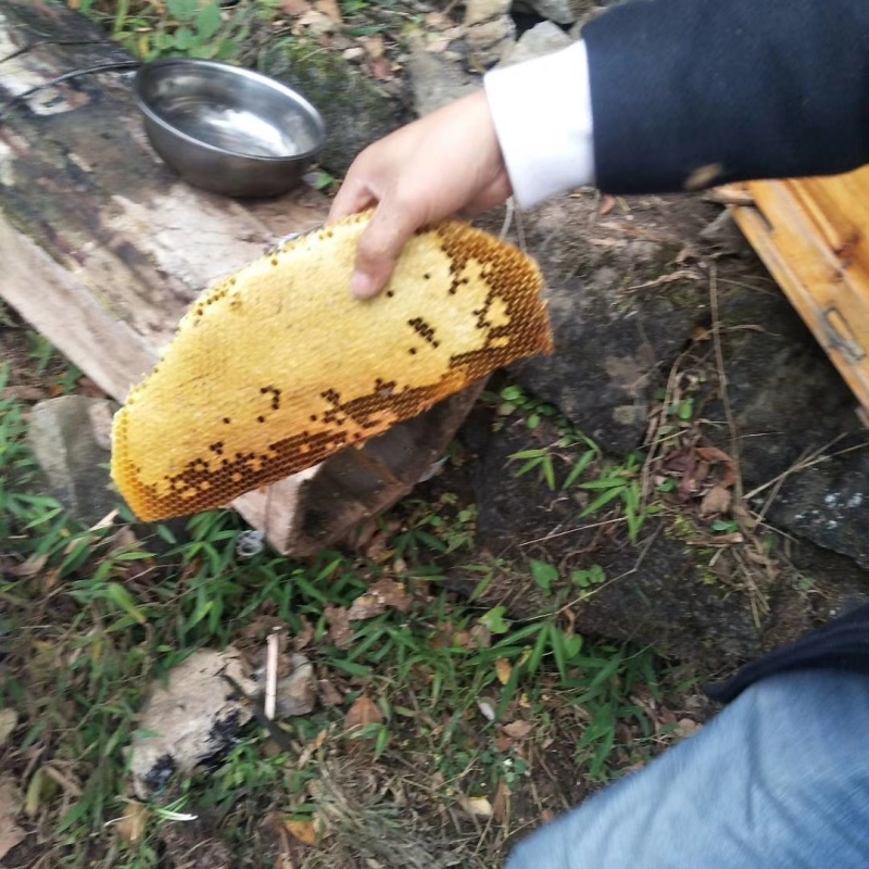 深山里的蜂蜜
