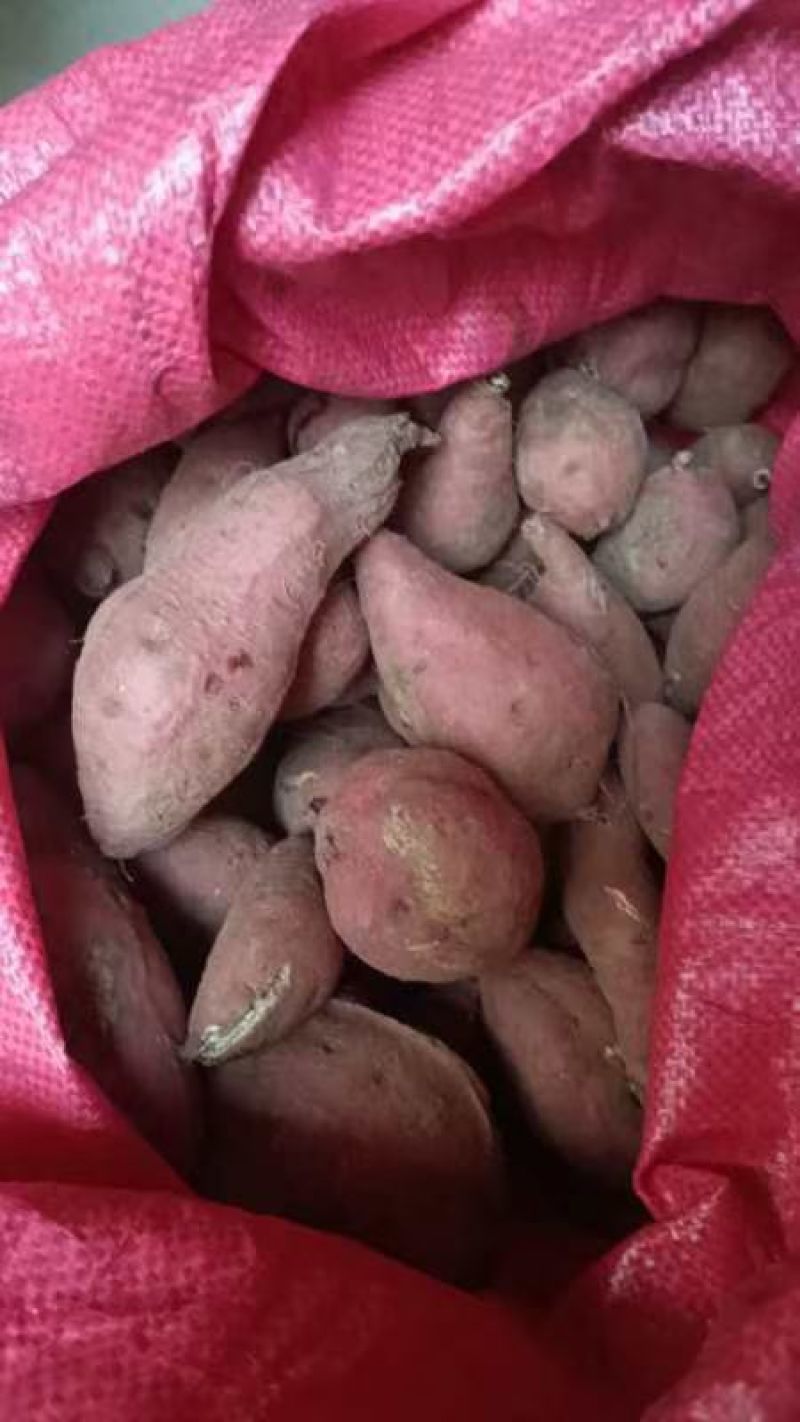 江西红薯粉