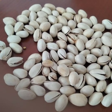 开心果漂亮货20多块钱+v咨询