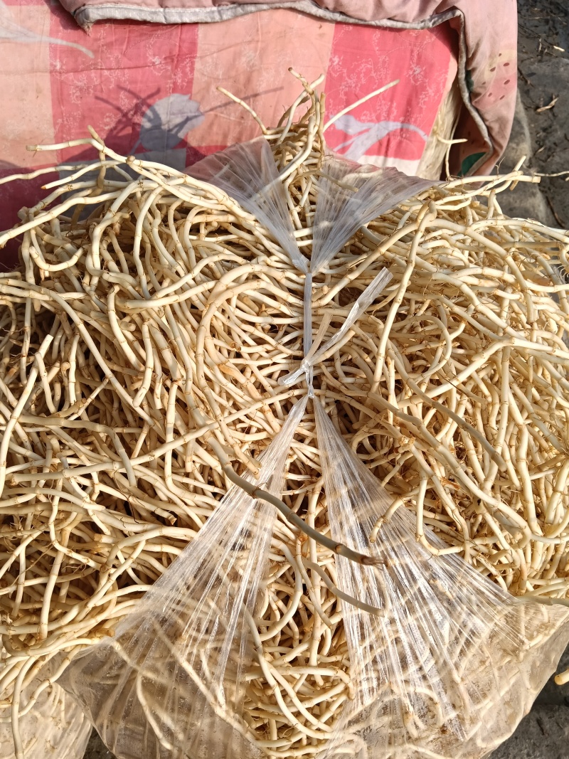 泥巴杂耳根售卖