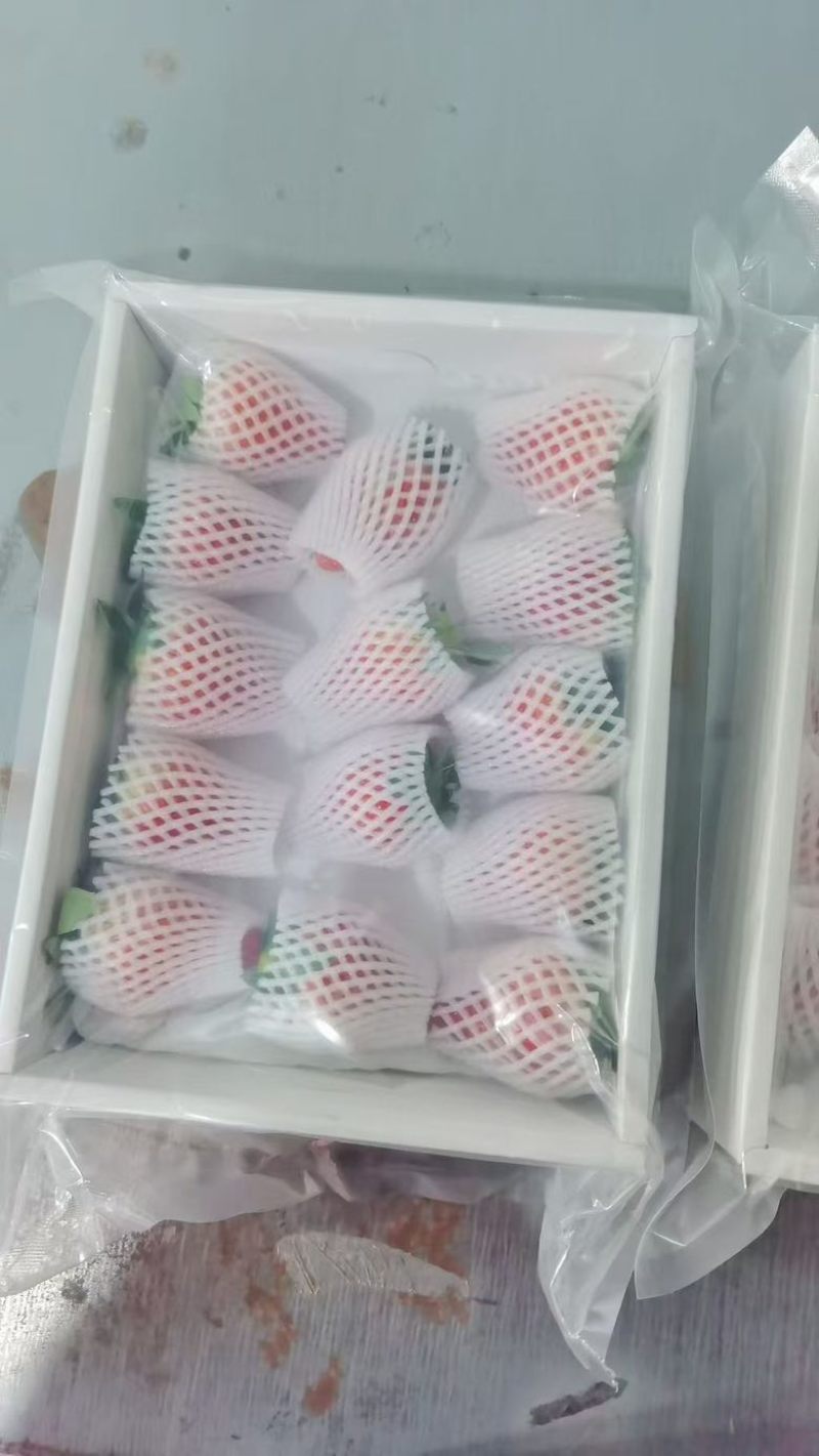 安徽长丰县红颜奶油草莓大量上市，商超货/电商货大量供应