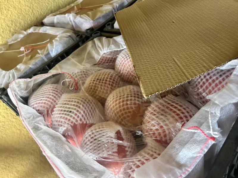 寒富苹果，筐装大果和箱装小果都有，量大，物美价廉