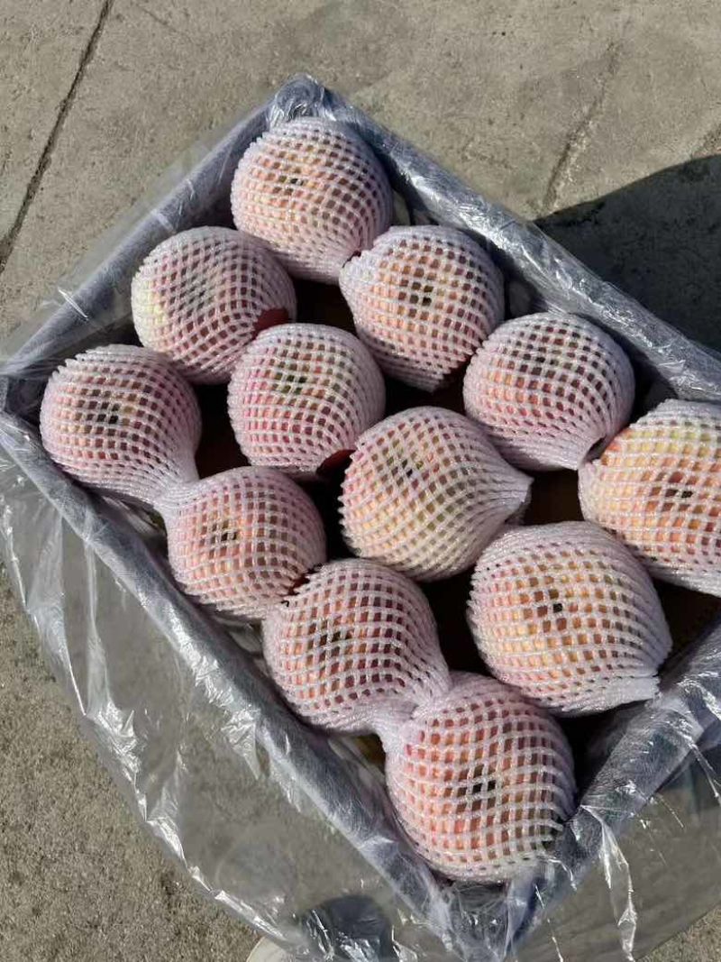 寒富苹果，筐装大果和箱装小果都有，量大，物美价廉