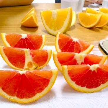 红心脐橙，原滋原味自然成熟的脐橙，自家的包邮到家