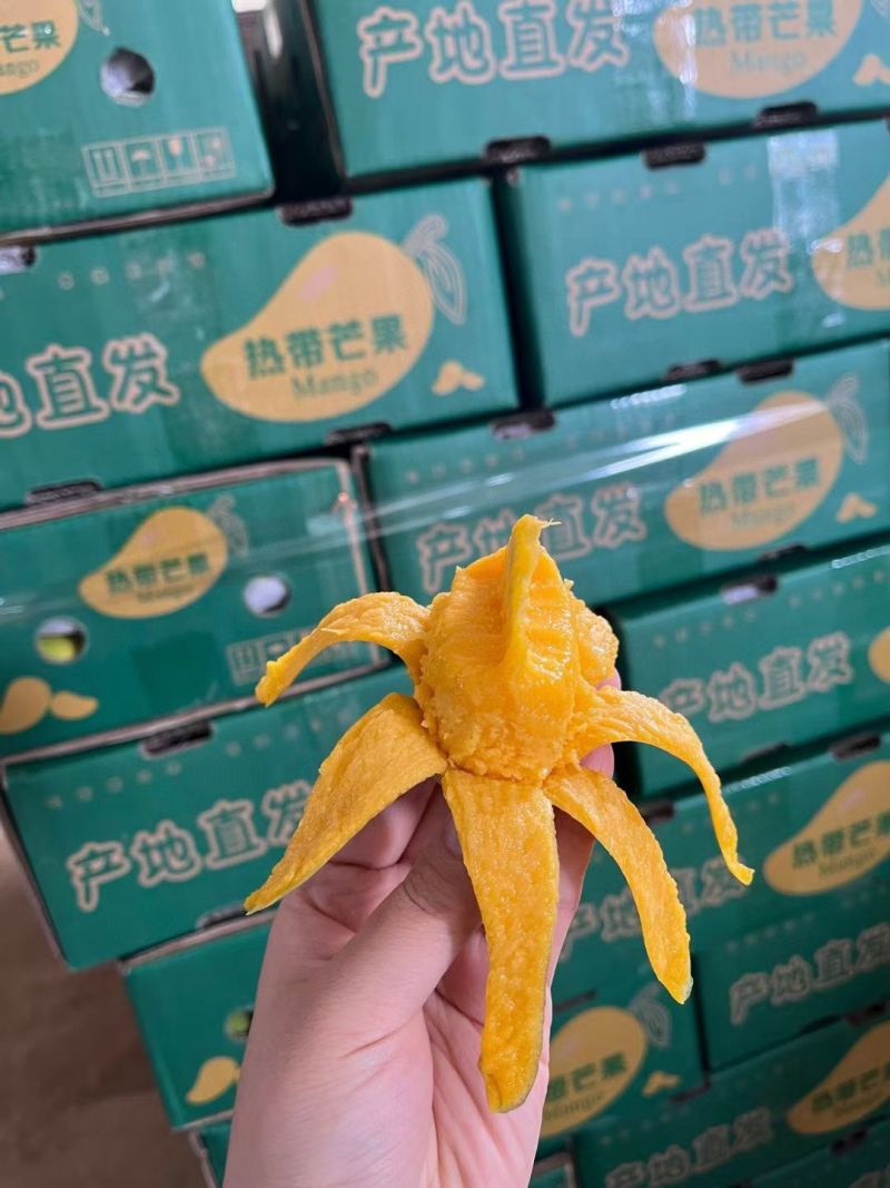 海南芒果