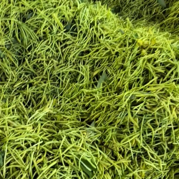 山银花