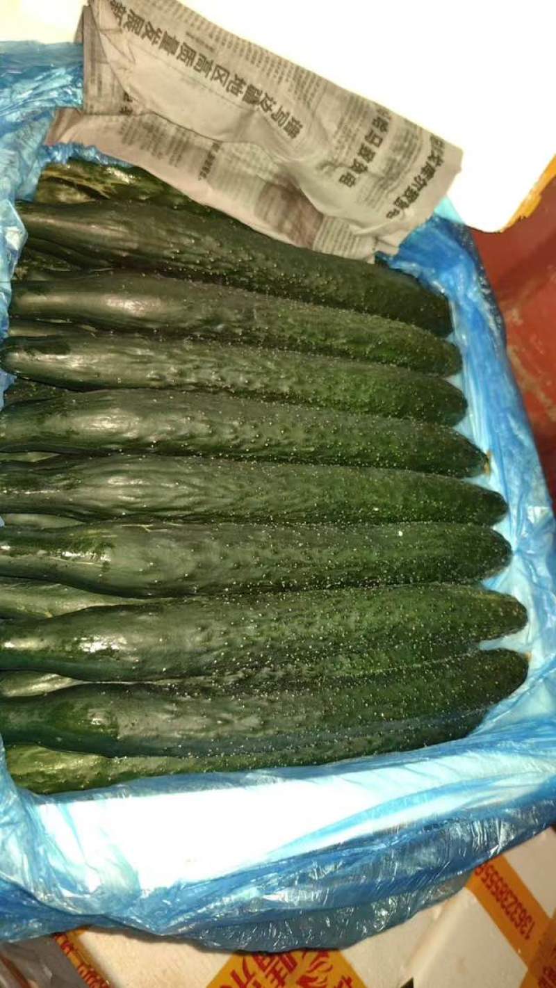 密刺黄瓜大量有货价格合理干花带刺质量保证进店