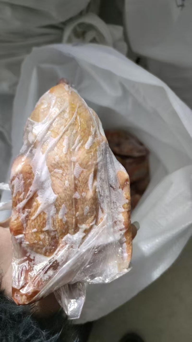 二级鸽子各个规格有货