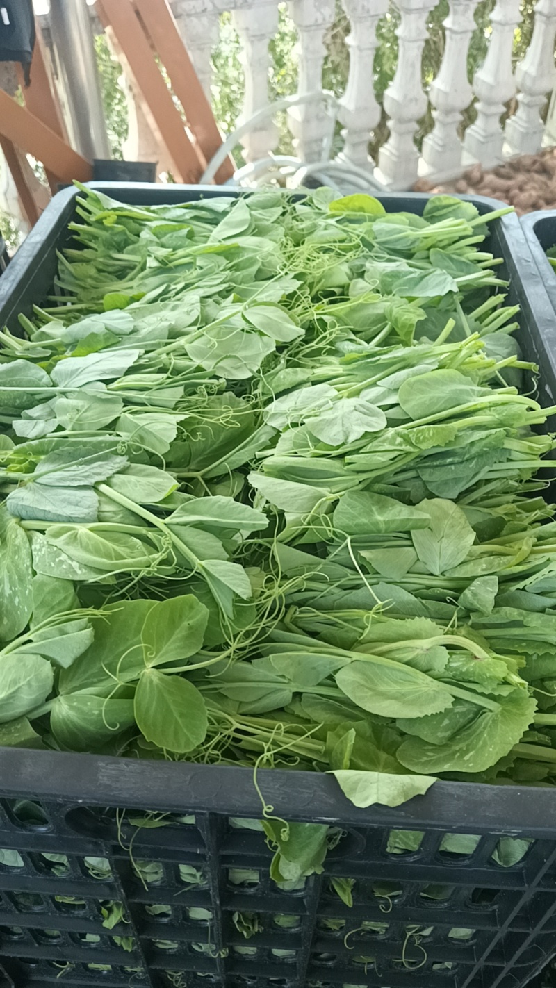 支持小黑框干水货，泡沫箱各种规格