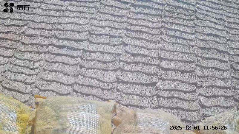甘肃渭源中药材