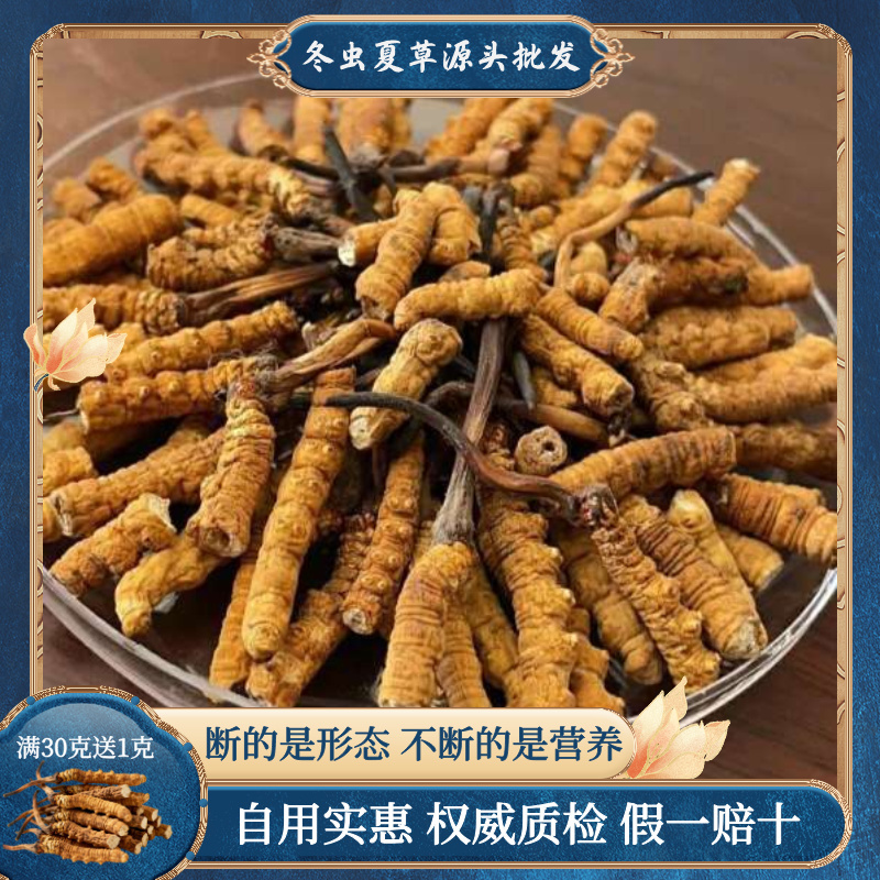 批发代发冬虫夏草中断草自用实惠泡酒煲汤送礼冬虫夏草中断草批发