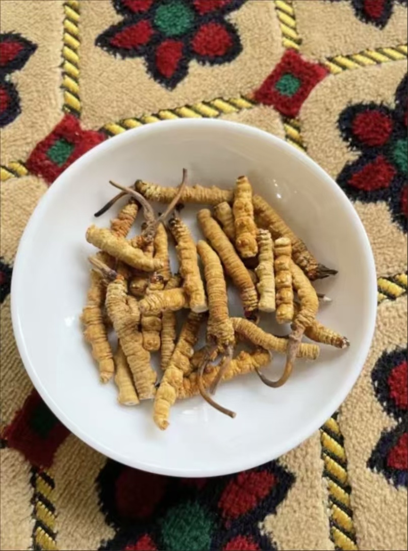 批发代发冬虫夏草中断草自用实惠泡酒煲汤送礼冬虫夏草中断草批发