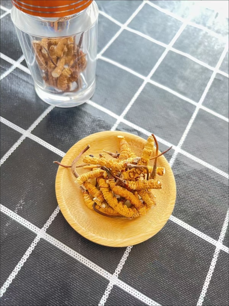 批发代发冬虫夏草中断草自用实惠泡酒煲汤送礼冬虫夏草中断草批发
