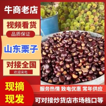 油板栗