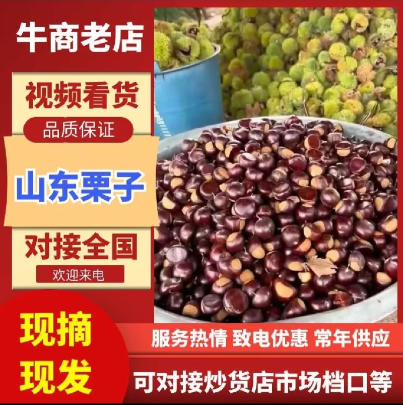 油板栗