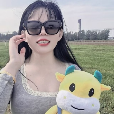 洋葱苗
