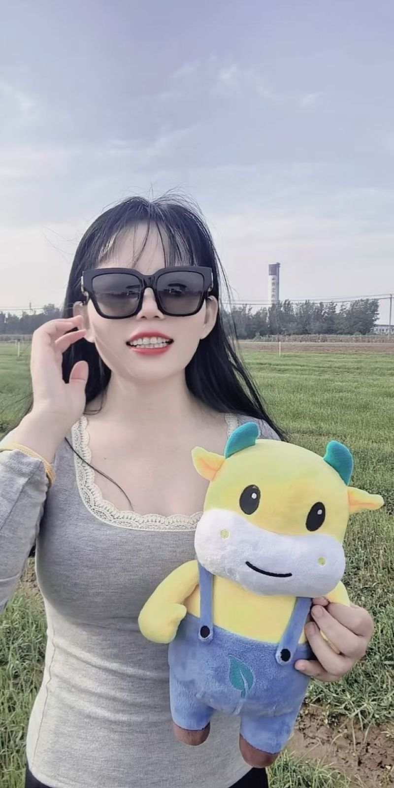 洋葱苗