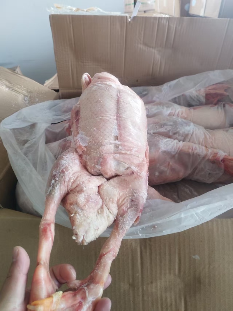 厂家7只装老鸭5吨