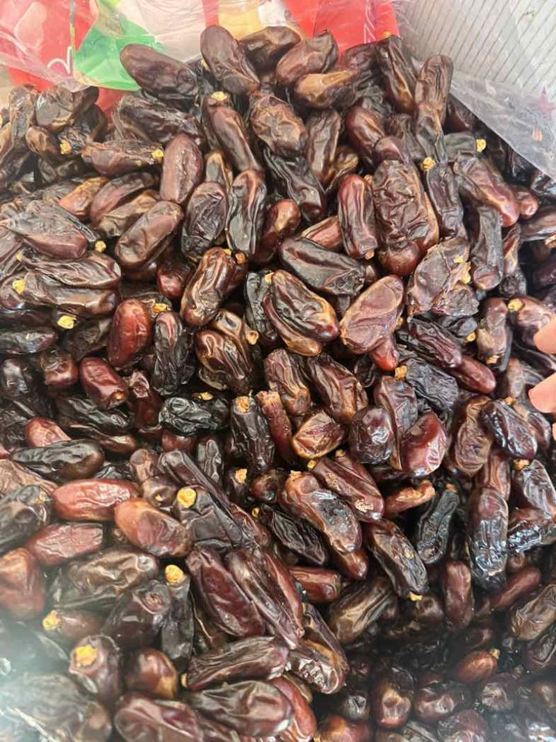 大颗粒黑椰枣