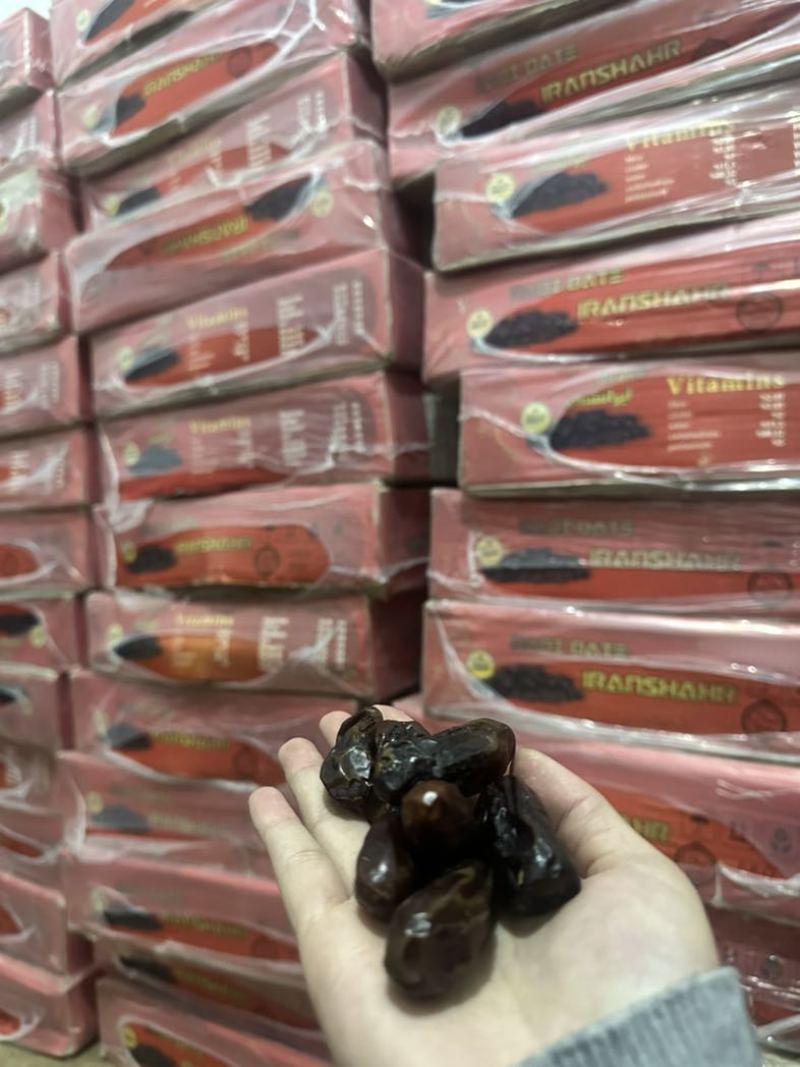 大颗粒黑椰枣
