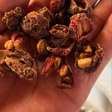 晒干山楂片
